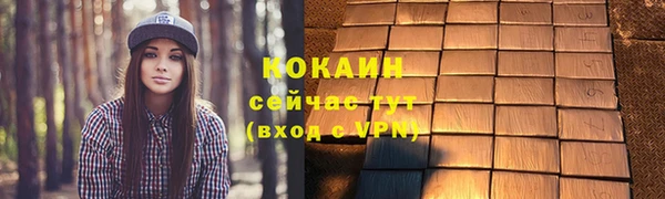 молекула духа Щигры