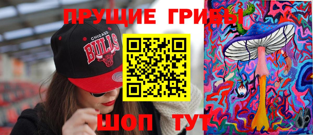 Свободный  Псилоцибиновые грибы мухоморы  Вход с VPN 