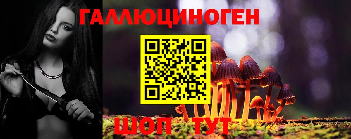 Галлюциногенные грибы GOLDEN TEACHER Свободный